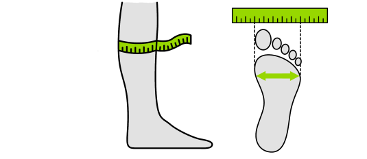 measure-legs